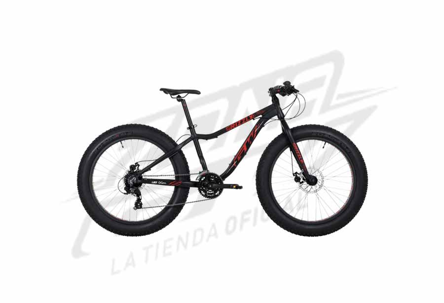 FAT BIKE, todo sobre las bicicletas con ruedas gordas